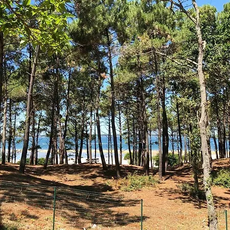 Maisonnette A 3 Min De La Plage 2 Velos Pretes Appartement